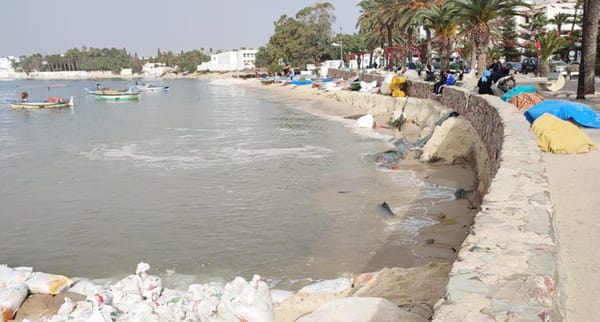 Hammamet: Coastal Erosion Threatens Shoreline and Tourism Sector